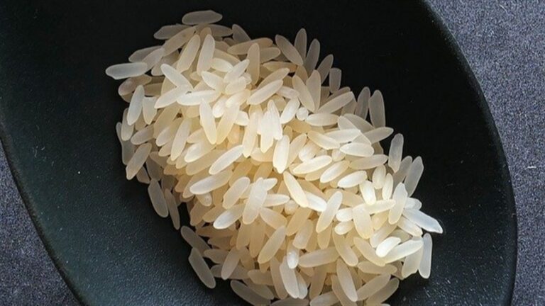 Arroz: quais são as projeções para a safra atual