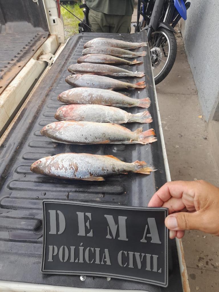 Homem é preso por transporte ilegal de pescado na região de Santo Antônio do Leverger