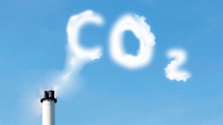 Certificadora lança metodologia de crédito de carbono