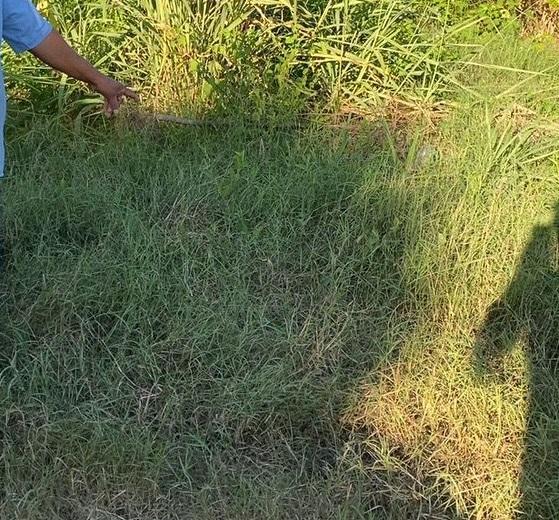 Polícia Civil identifica autor de descarte irregular de lixo que aparece em vídeo nas redes sociais
