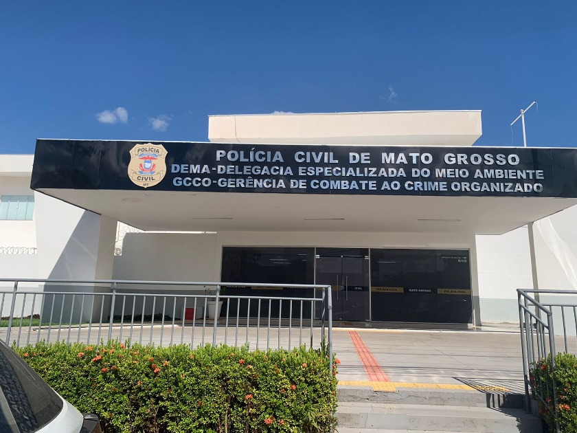 Polícia Civil interroga idoso que matou gata em MT