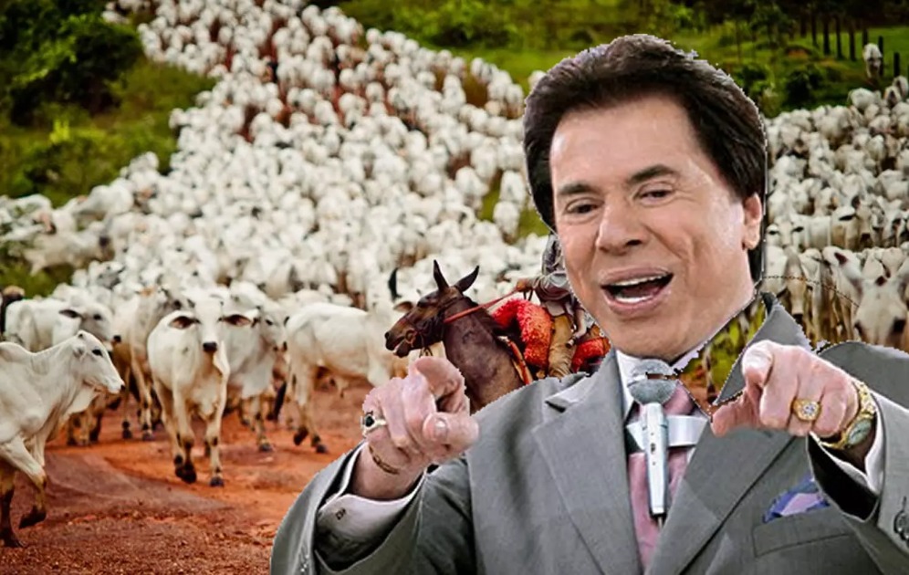 Sílvio Santos já esteve em Barra do Garças onde adquiriu mega fazenda e chegou a ter mais de 10.000 bois