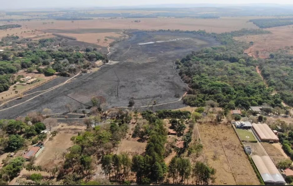 Quatro pessoas são indiciadas por causarem incêndios que destruíram 130 hectares de parques