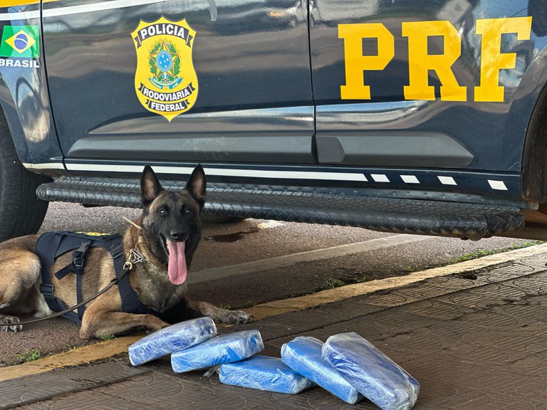 WhatsApp Image 2025-04-29 at 15.01.50.jpeg