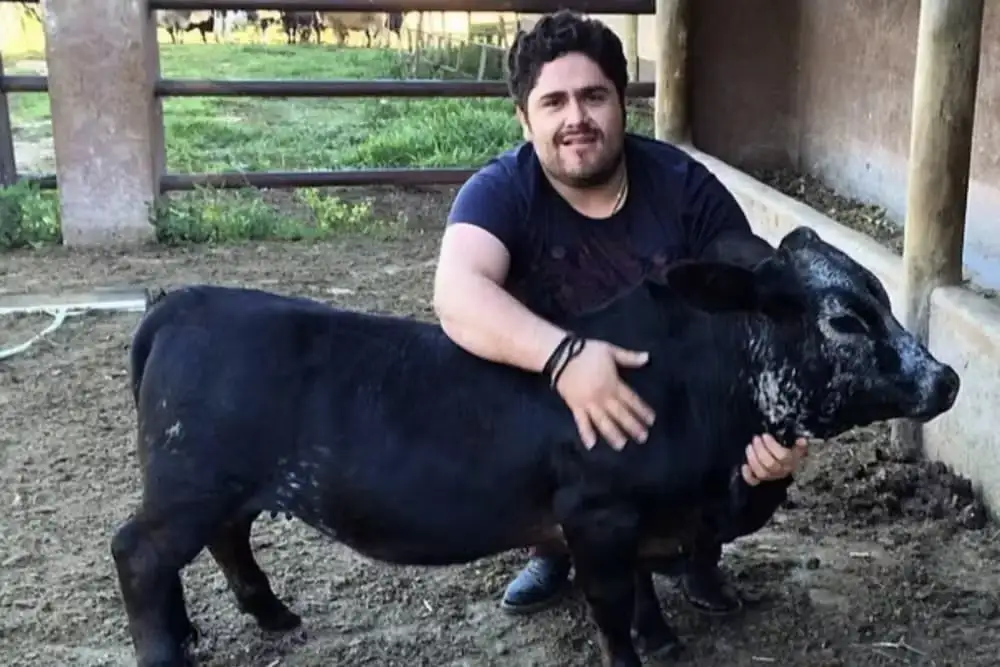 Cesar Menotti e sua fazenda de mini animais: O universo encantado do gigante sertanejo