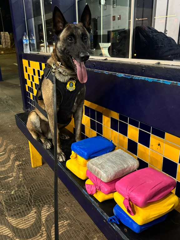 WhatsApp Image 2025-08-05 at 21.56.35.jpeg