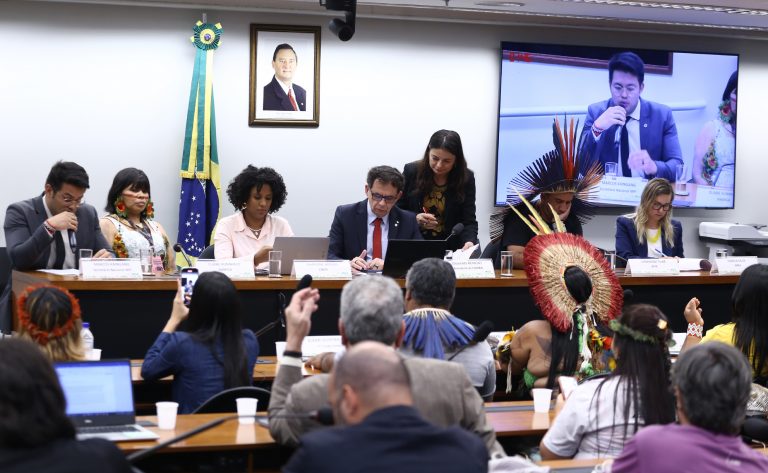 Audiência Pública Interativa - Impactos do marco temporal para os povos indígenas.