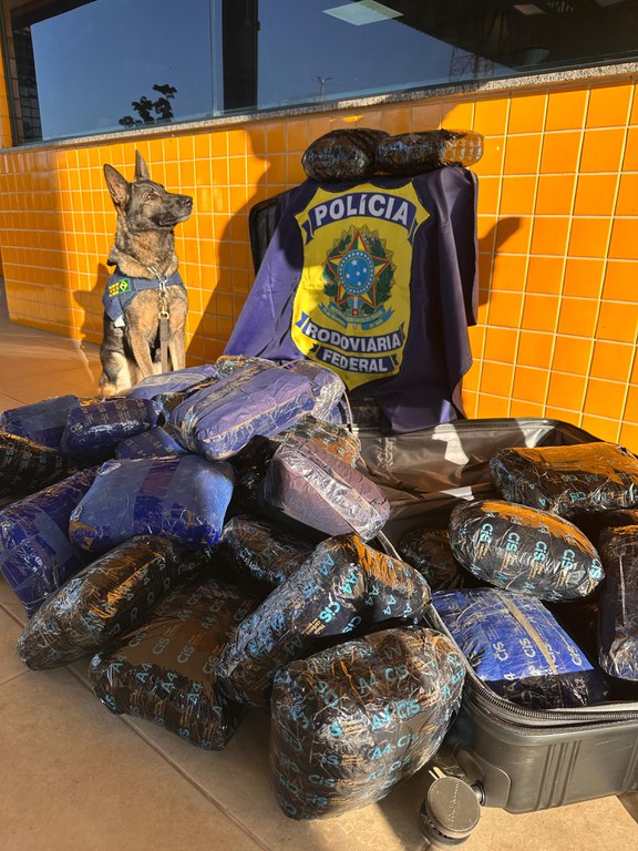 WhatsApp Image 2025-08-07 at 12.05.12.jpeg