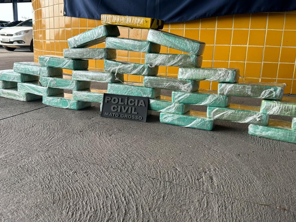 Forças de Segurança apreendem 30 tabletes de pasta base que eram transportados em caminhão frigorífico -