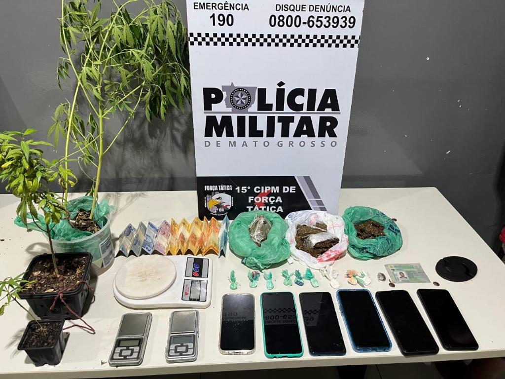 Força Tática prende dois homens com porções de drogas e pés de maconha -