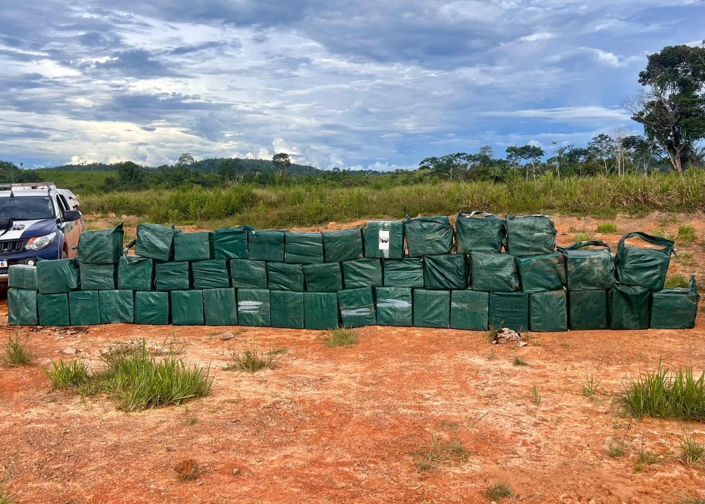 Forças de segurança apreendem 35 toneladas de drogas em 2025 em Mato Grosso -