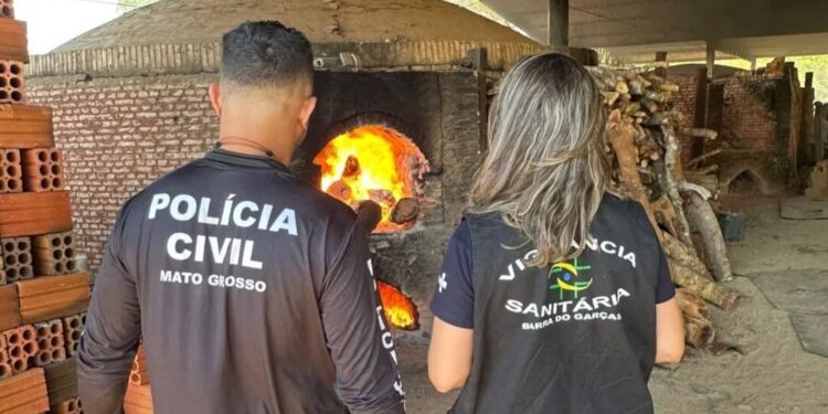 Polícia Civil incinera mais de 30 kg de drogas em Barra do Garças