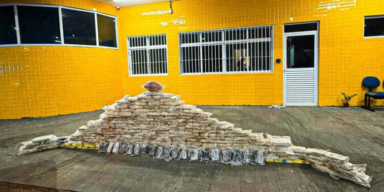 WhatsApp Image 2025-11-04 at 09.53.19.jpeg