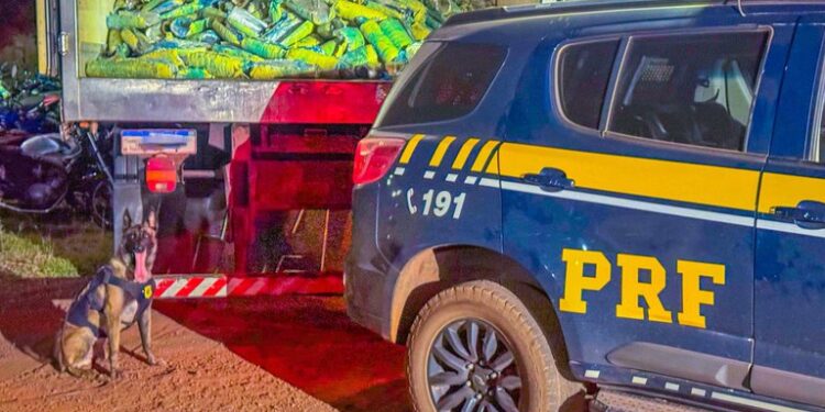 WhatsApp Image 2025-11-04 at 19.41.45.jpeg