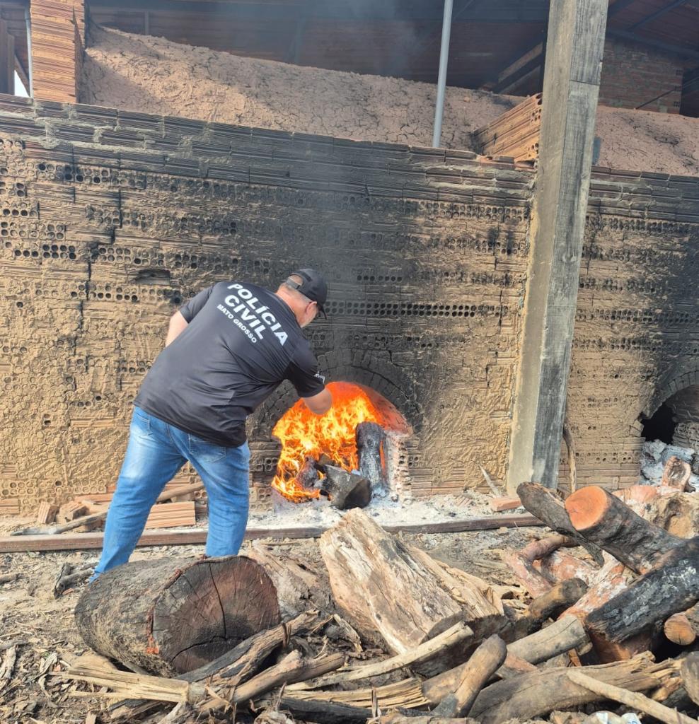Polícia Civil incinera entorpecentes apreendidos em Alto Boa Vista -