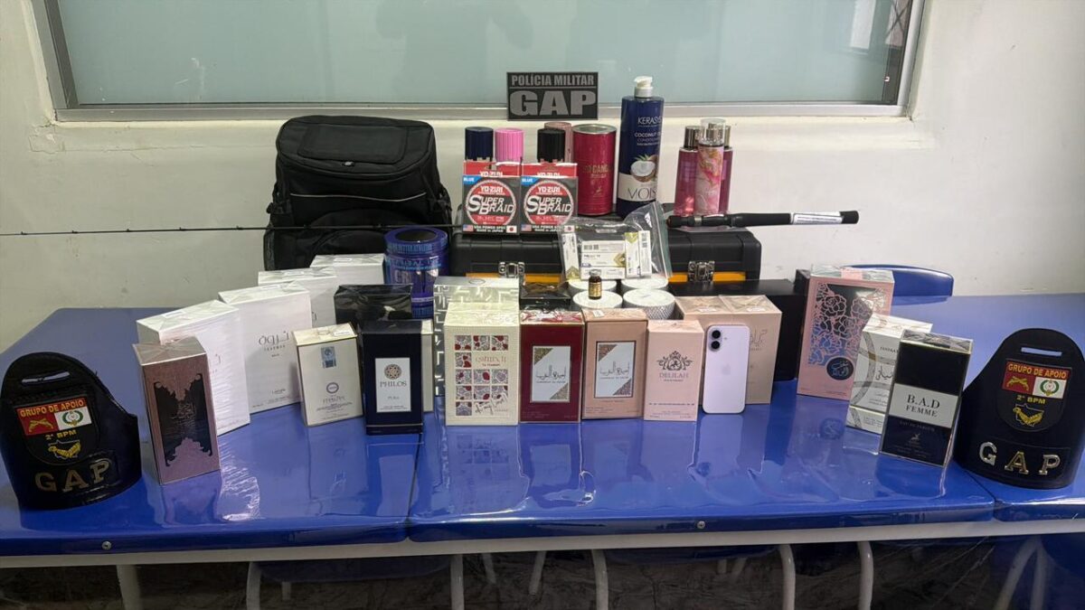 Carregamento de mercadorias irregulares é apreendido pela PM na MT-100