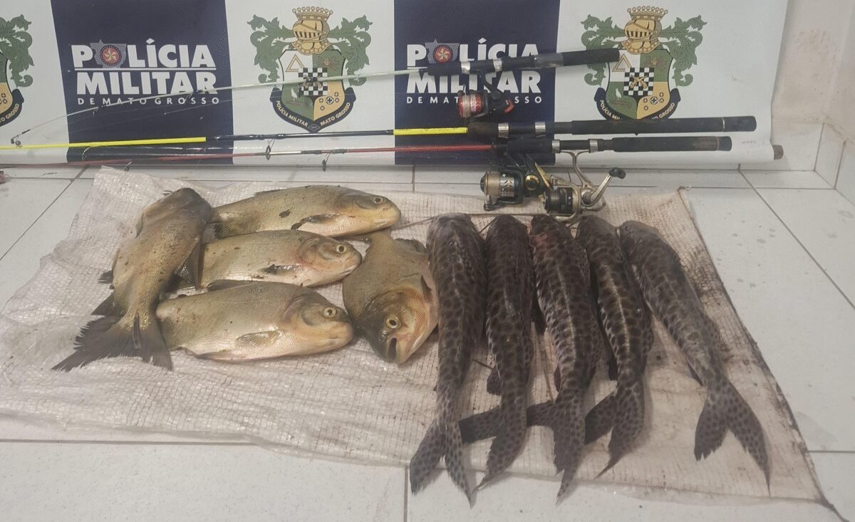 PM prende dois homens por furto de peixes de fazenda-escola em Jaciara
