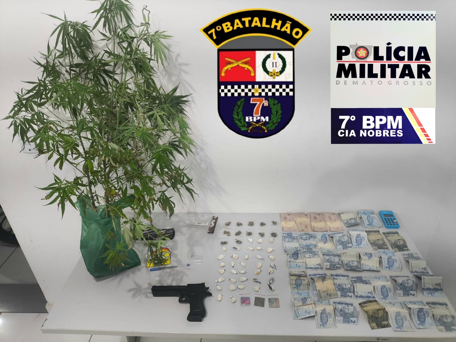 Homem é preso pela PM com pés de maconha e porções de drogas em residência