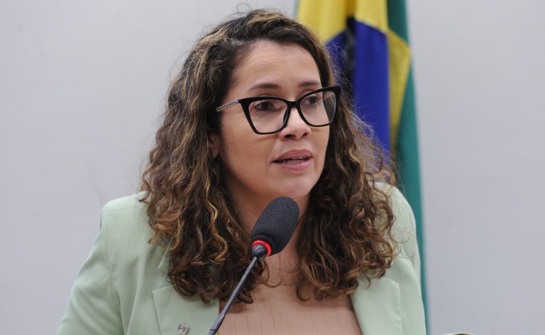 Audiência Pública - Políticas públicas destinadas ao fomento das culturas periféricas. Dep. Denise Pessôa (PT - RS)
