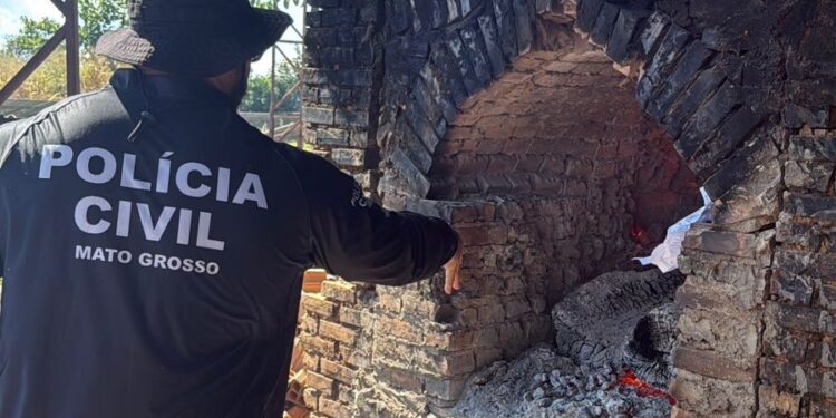 Polícia Civil incinera drogas apreendidas em investigações da Derf de Confresa