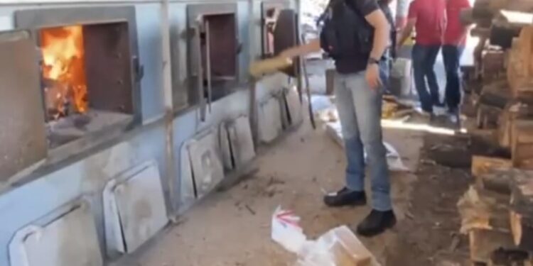 Polícia Civil incinera 130 quilos de entorpecentes em Guiratinga