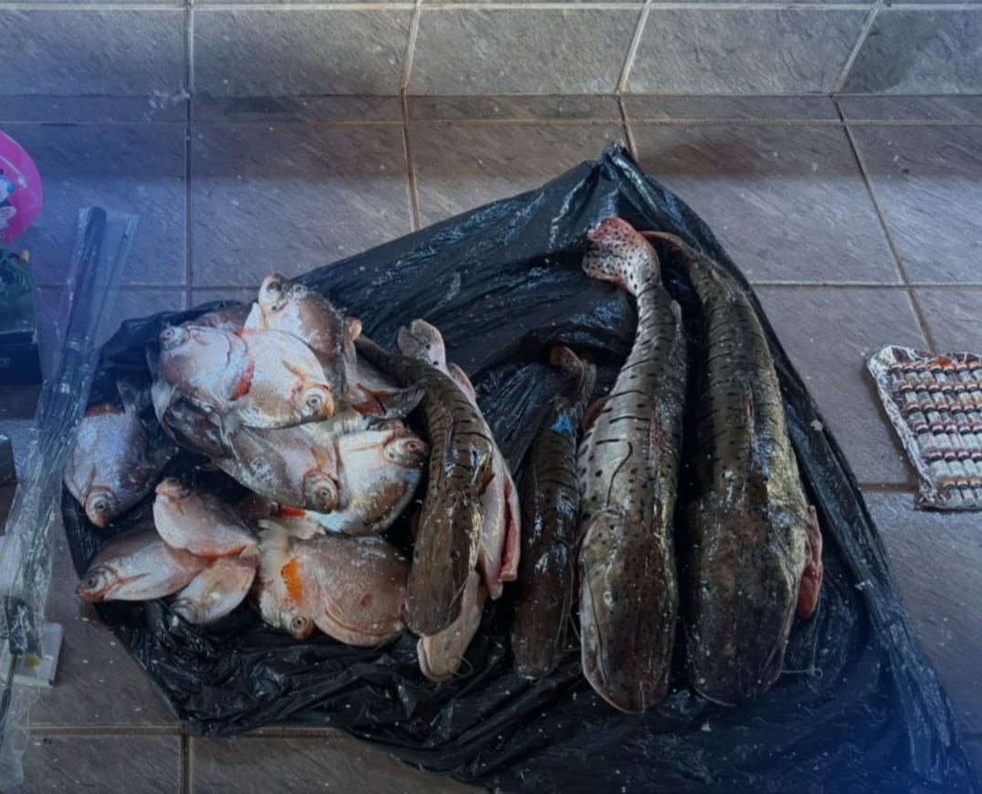 Mãe e filho são presos suspeitos de contrabando, descaminho e crime ambiental entre MT e GO