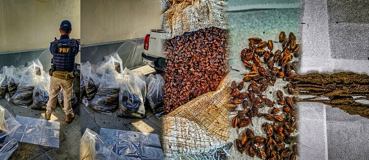 WhatsApp Image 2026-04-16 at 08.55.27 (1).jpeg