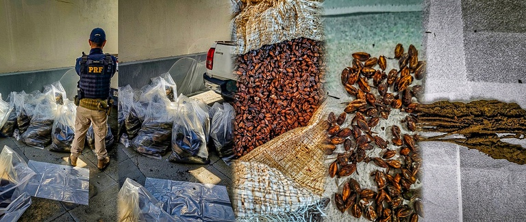 WhatsApp Image 2026-04-16 at 08.55.27 (1).jpeg