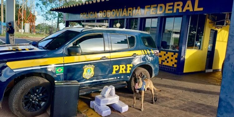 WhatsApp Image 2026-04-22 at 09.40.37.jpeg