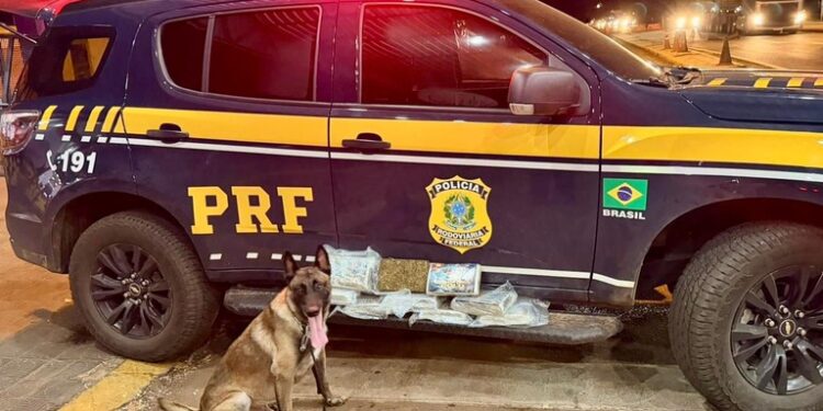 WhatsApp Image 2026-04-14 at 11.27.19.jpeg