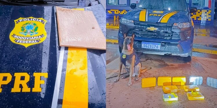 WhatsApp Image 2026-04-23 at 11.34.11.jpeg