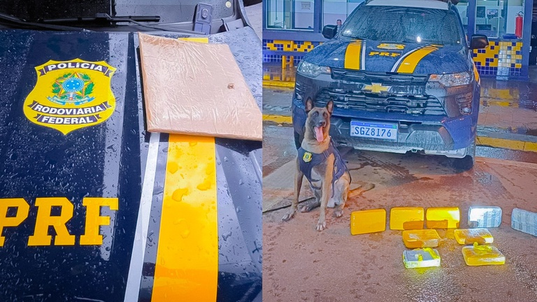 WhatsApp Image 2026-04-23 at 11.34.11.jpeg