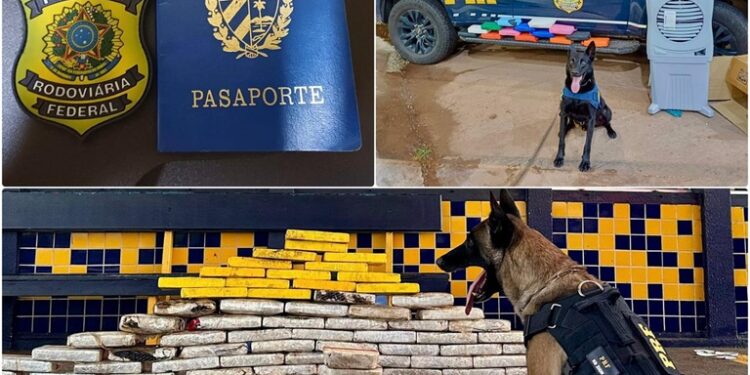 WhatsApp Image 2026-04-28 at 09.16.42.jpeg