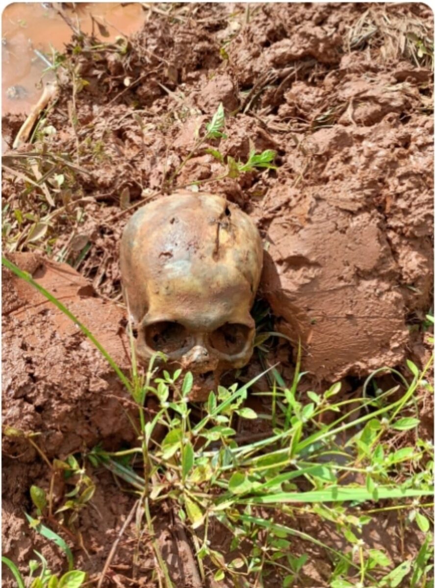 Trabalhador encontra ossada com marcas no crânio em General Carneiro