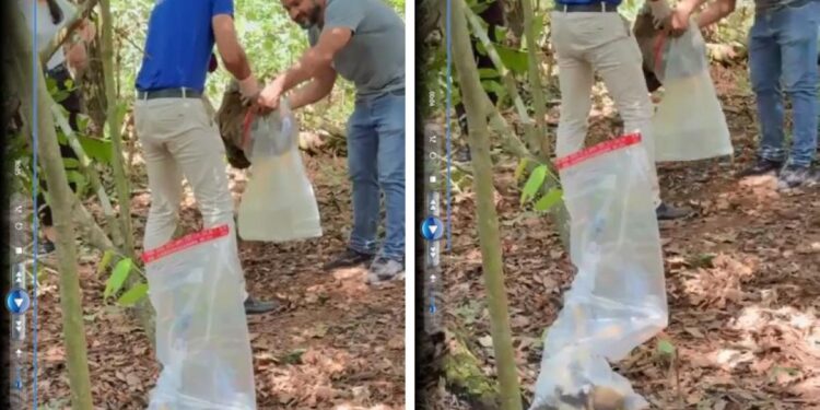 Trabalhadores encontram ossada perto de parque no interior de MT