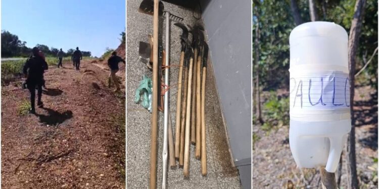 Veja – Polícia prende sete por invasão de fazenda no interior de MT