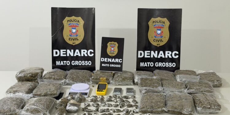 Polícia Civil apreende 152 quilos de entorpecentes e desarticula ponto de distribuição ligado a facção criminosa