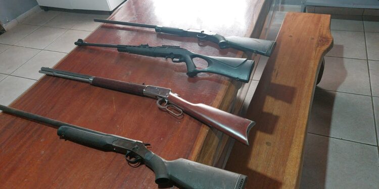 Polícia Militar apreende armas de fogo, após denúncia de violência doméstica e psicológica