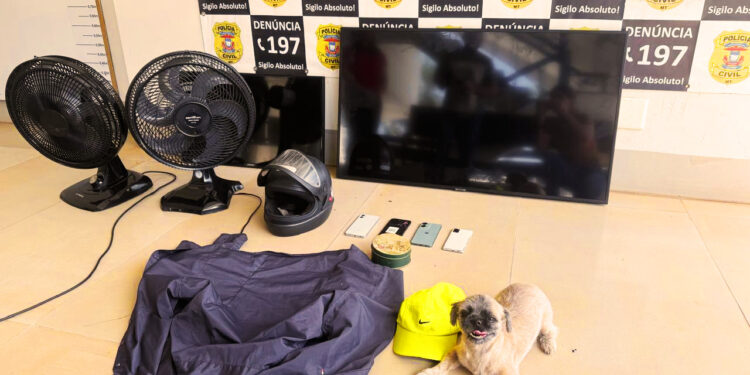 Polícia Civil prende suspeito que invadiu casa e furtou eletrônicos, carro e cachorro