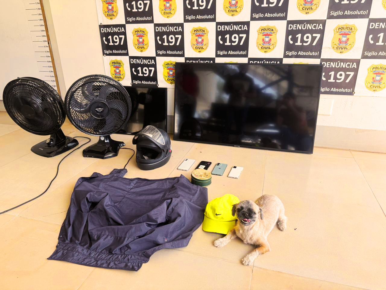 Polícia Civil prende suspeito que invadiu casa e furtou eletrônicos, carro e cachorro