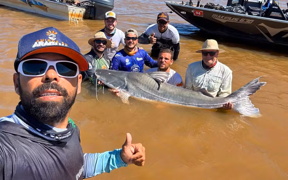Peixes gigantes que não podem ser consumidos: guia exalta ter encontrado piraíba de 2,5 metros pescada no Rio Araguaia